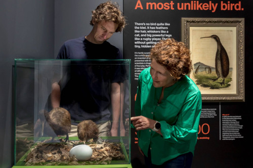 A Conservation-Focused Experience 